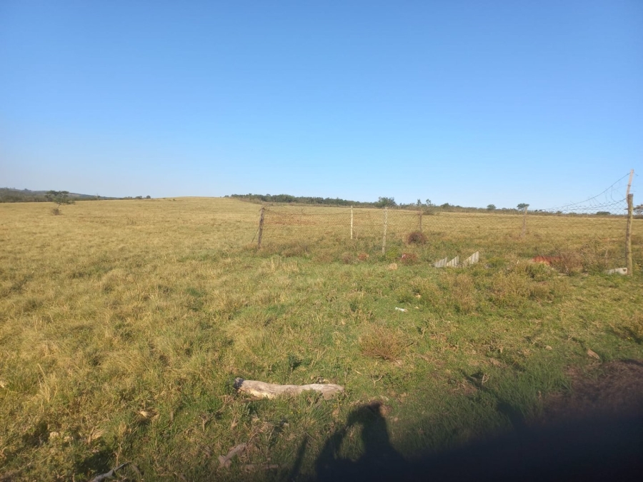 Commercial Property for Sale in Komga Rural Eastern Cape
